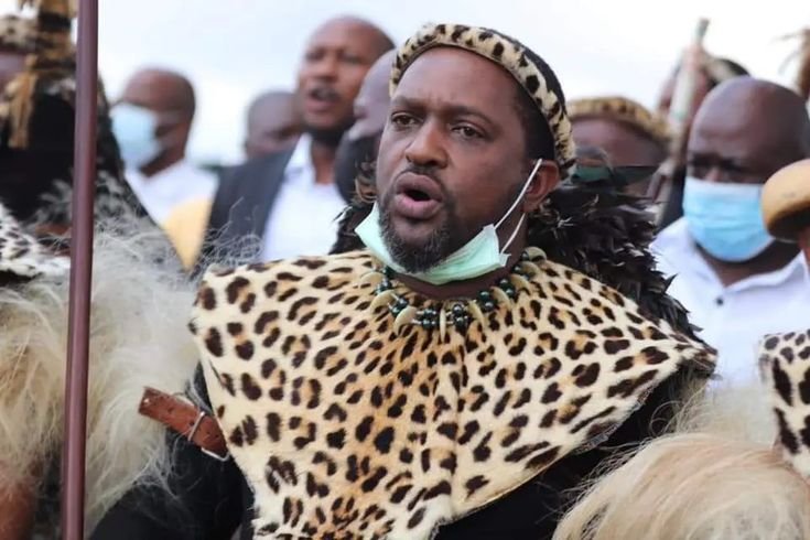 Zulu King Denies Allegations Against Him In Court Action